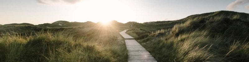 boardwalk through dunes image