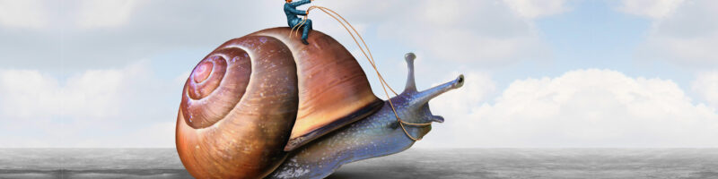 man riding a snail