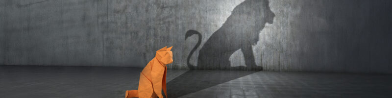 cat with a lions shadow