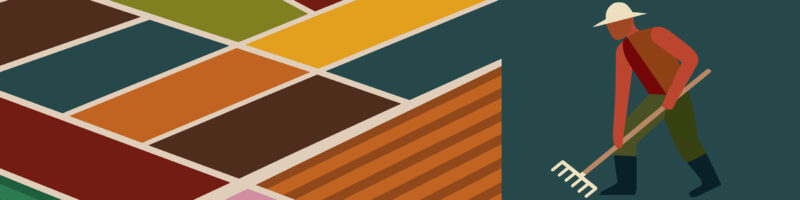 vector image of farmer in field